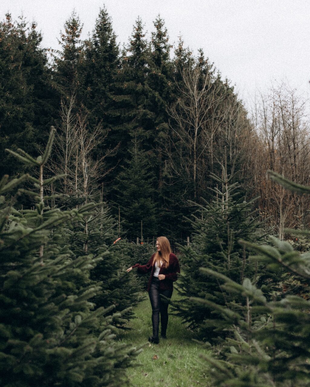 Instagram post from lali.fotografie. This post is in position 6.